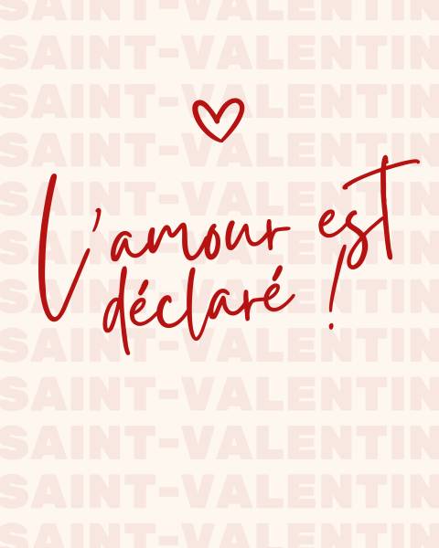 L'amour est déclaré - Joséphine 