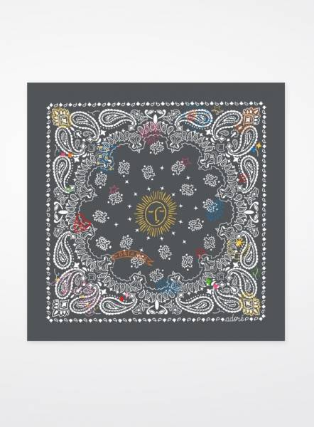 Foulard Adoré Elia La rêveuse grise